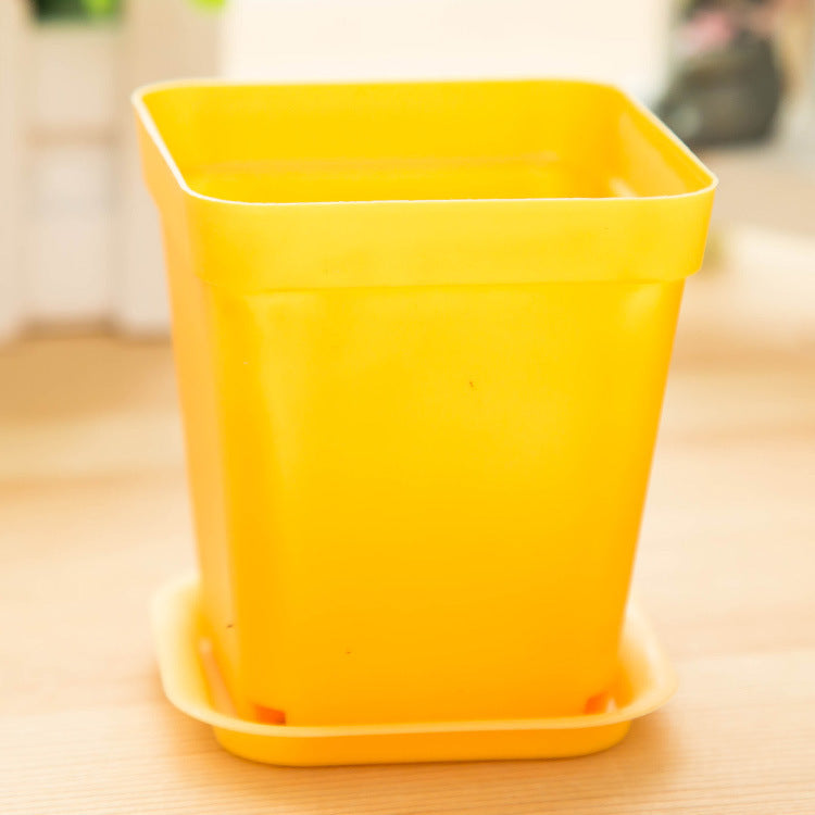 9798 Mini colorful small pots wholesale plastic pots of potted plants with fleshy desktop tray