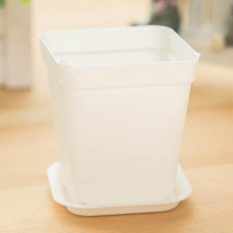 9798 Mini colorful small pots wholesale plastic pots of potted plants with fleshy desktop tray