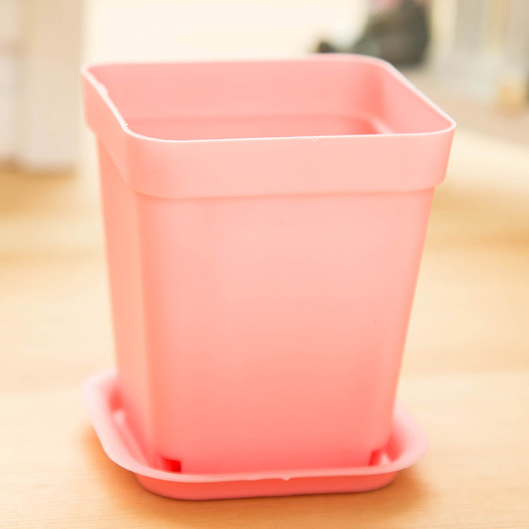 9798 Mini colorful small pots wholesale plastic pots of potted plants with fleshy desktop tray