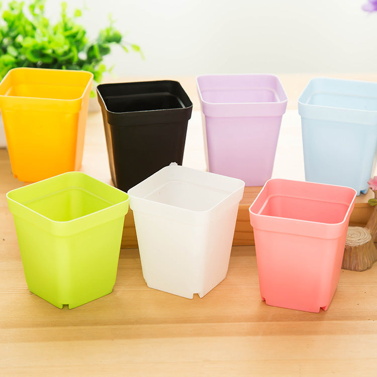 9798 Mini colorful small pots wholesale plastic pots of potted plants with fleshy desktop tray