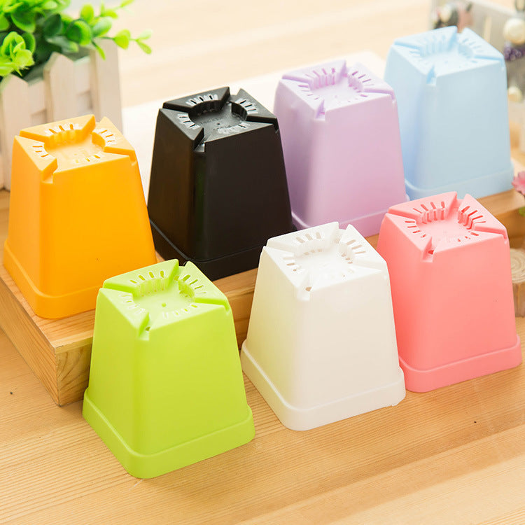 9798 Mini colorful small pots wholesale plastic pots of potted plants with fleshy desktop tray