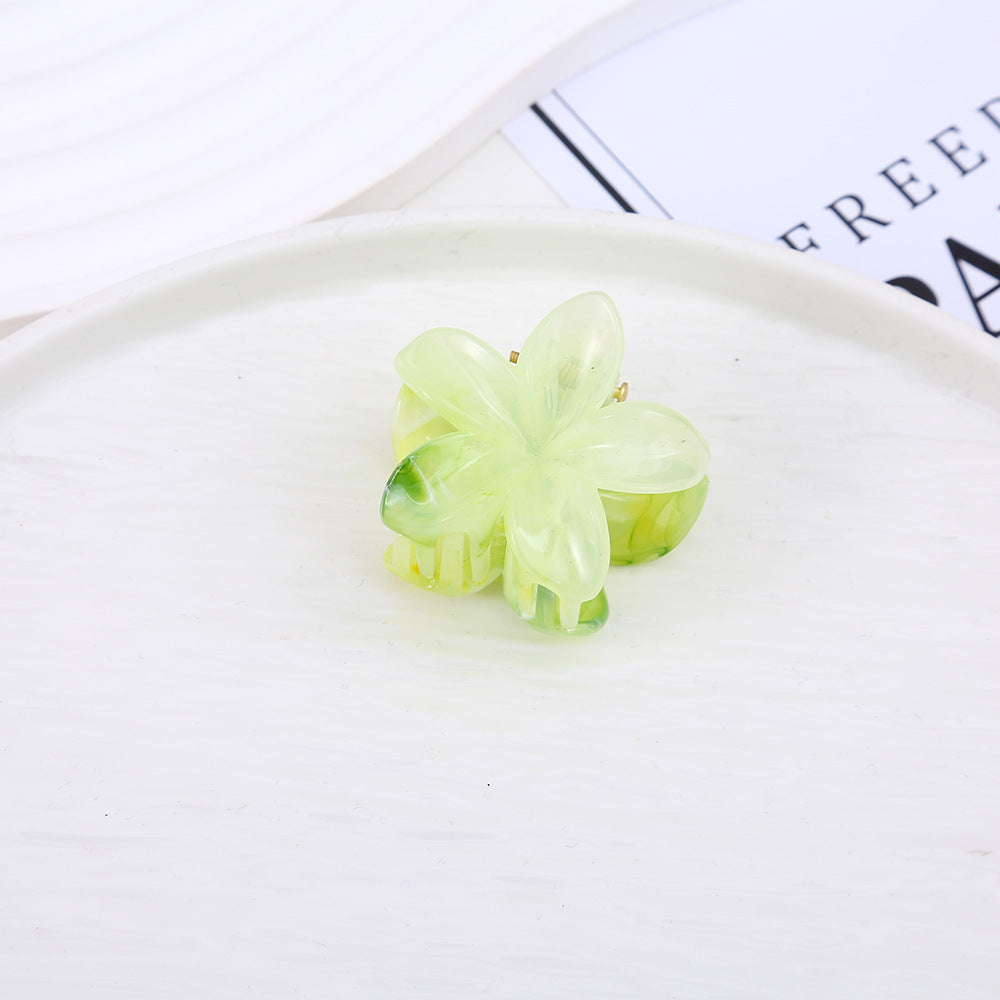 Bauhinia Grip Korean Sweet Ponytail Clip Small Hair Grip